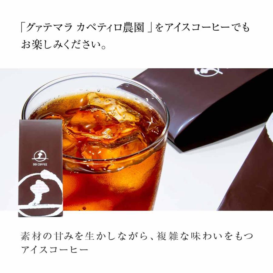 カペティロ　アイスブレンド※ |  | 01