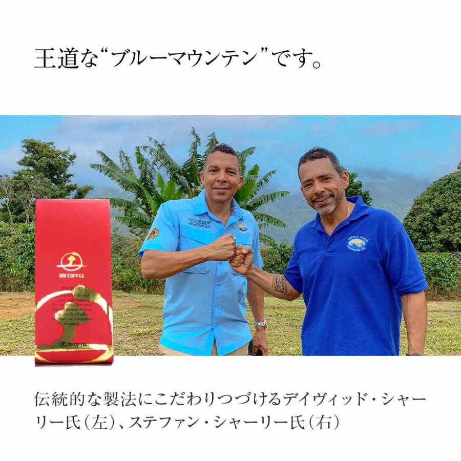 ブルーマウンテンＮｏ．１　シンコナ農園（１００ｇ）※ |  | 01