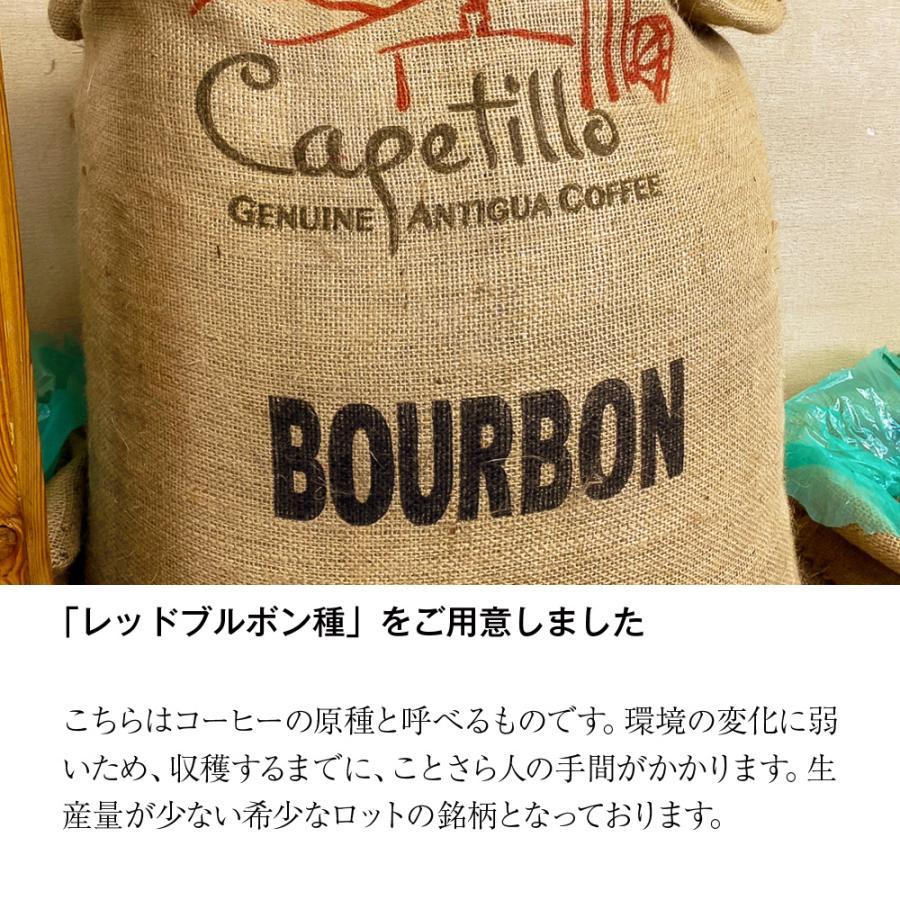 グァテマラ　カペティロ農園（１００ｇ）※ |  | 04