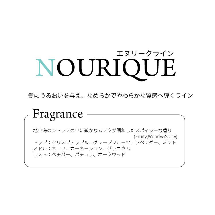 OLIOSETA（オリオセタ） エヌリーク オイルトリートメント 100ml ※宅配