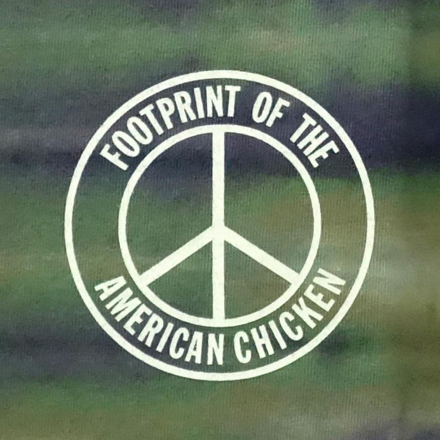 バズ・リクソン　BUZZ RICKSON'S　半袖ミリタリーカモフラＴシャツ　“AMERICAN CHICKEN” BR78273 | BUZZ RICKSON'S | 05