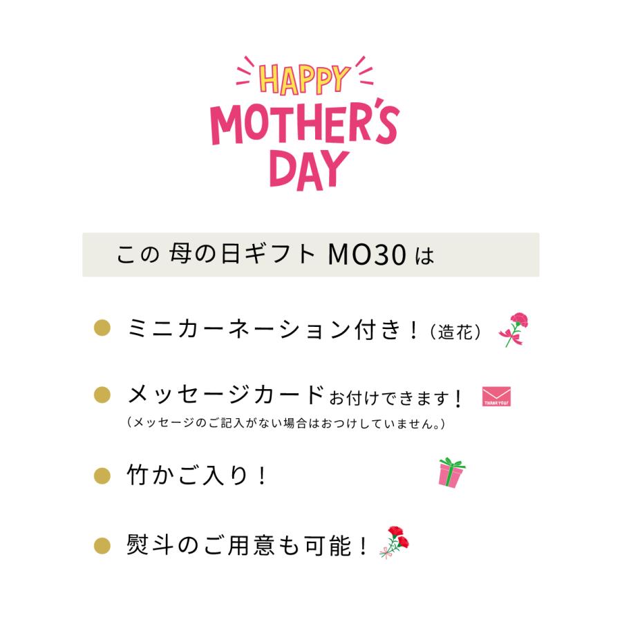 【遅れてごめんね】母の日ギフト　MO30　　【全国どこでも送料込み】【お届け日：5月2日〜5月29日】｜doishibazuke｜02