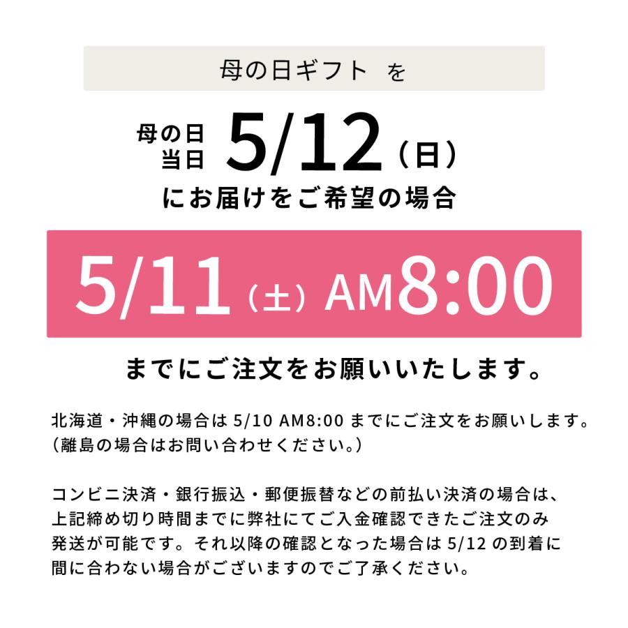 【遅れてごめんね】母の日ギフト　MO30　　【全国どこでも送料込み】【お届け日：5月2日〜5月29日】｜doishibazuke｜03