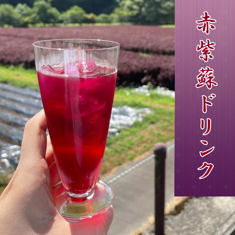 赤紫蘇ドリンク【ストレートタイプ】（180ml×20本入り）【送料