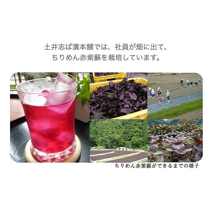 京都 赤紫蘇 送料無料 ドリンク ストレートタイプ 1000ml×6本