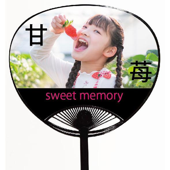 手作りうちわ セット 黒骨(10本〜）レギュラーサイズ : 堂島広告