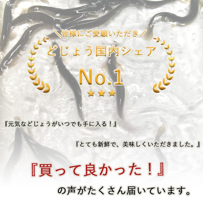 【どじょう日本一】活 どじょう 500g 大【約16cm 約20匹】 食用 どじょう 生体 ドジョウ  柳川 鍋 ドジョウ 唐揚げ 料理用 ドジョウ 蒲焼｜dojou-ookawa｜03