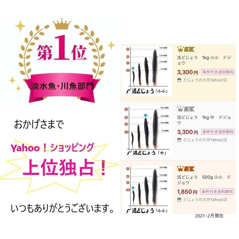 【どじょう日本一】活 どじょう 500g 大【約16cm 約20匹】 食用 どじょう 生体 ドジョウ  柳川 鍋 ドジョウ 唐揚げ 料理用 ドジョウ 蒲焼｜dojou-ookawa｜05