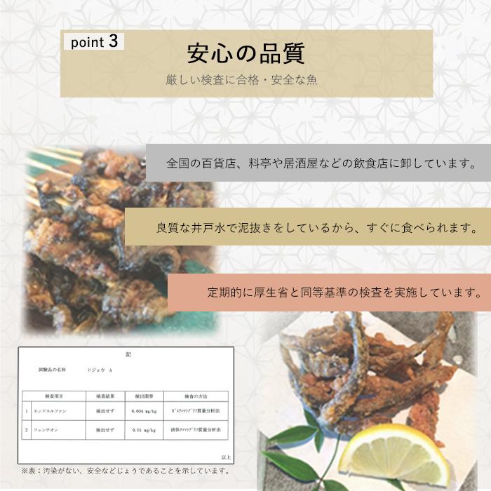 【どじょう日本一】活 どじょう 500g 大【約16cm 約20匹】 食用 どじょう 生体 ドジョウ  柳川 鍋 ドジョウ 唐揚げ 料理用 ドジョウ 蒲焼｜dojou-ookawa｜09