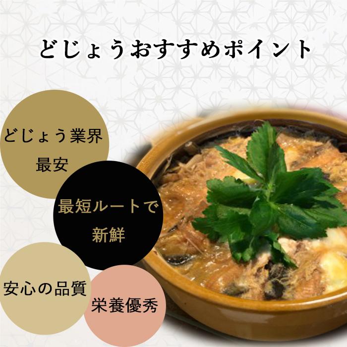 活 どじょう 500g 小 (約10cm 約125匹) 食用 生体 ドジョウ 柳川 鍋 唐