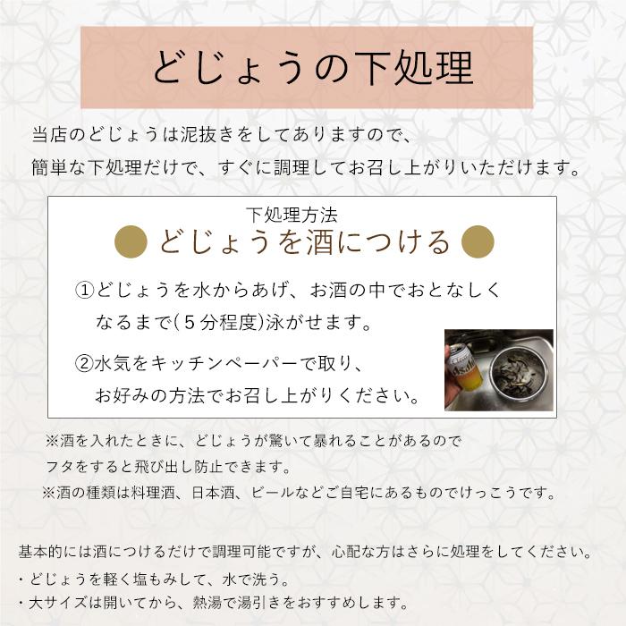 【どじょう日本一】活 どじょう 500g 小小【約7cm 約250匹】 食用 どじょう 生体 ドジョウ  柳川 鍋 ドジョウ 唐揚げ 料理用 ドジョウ 蒲焼｜dojou-ookawa｜11