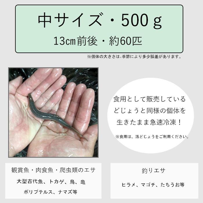 年末のプロモーション 釣りえさ 冷凍どじょう 約5本入 Supplystudies Com