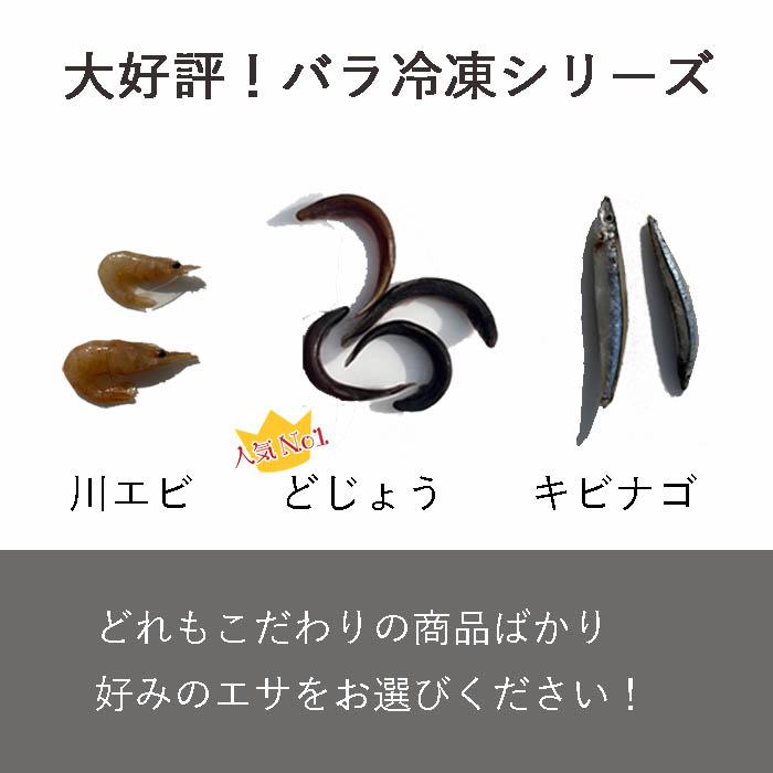真空 バラ 冷凍 川エビ 500g かわえび エサ 熱帯魚 古代魚 餌 冷凍エサ