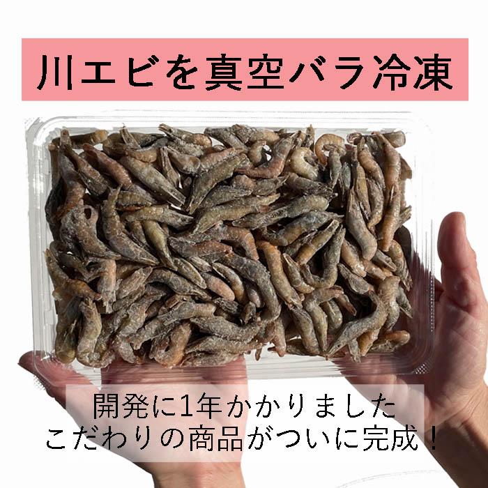 真空 バラ 冷凍 川エビ 500gx2セット かわえび エサ 熱帯魚 古代魚 餌