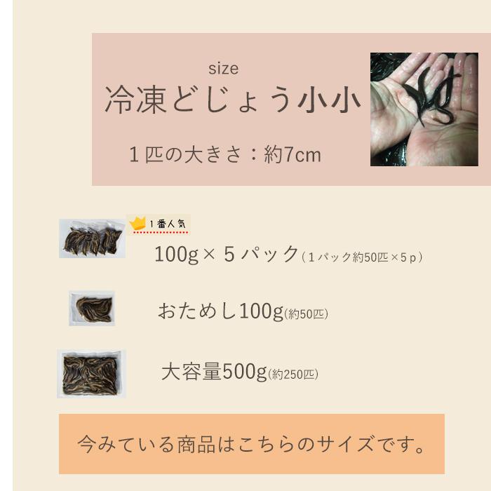 【レビューを書いてプレゼント！】冷凍 どじょう 100g×5パック 小小 【約7cm 約50匹×5P】 エサ どじょう エサ 釣り えさ 熱帯魚 古代魚 餌 ドジョウ 餌｜dojou-ookawa｜15