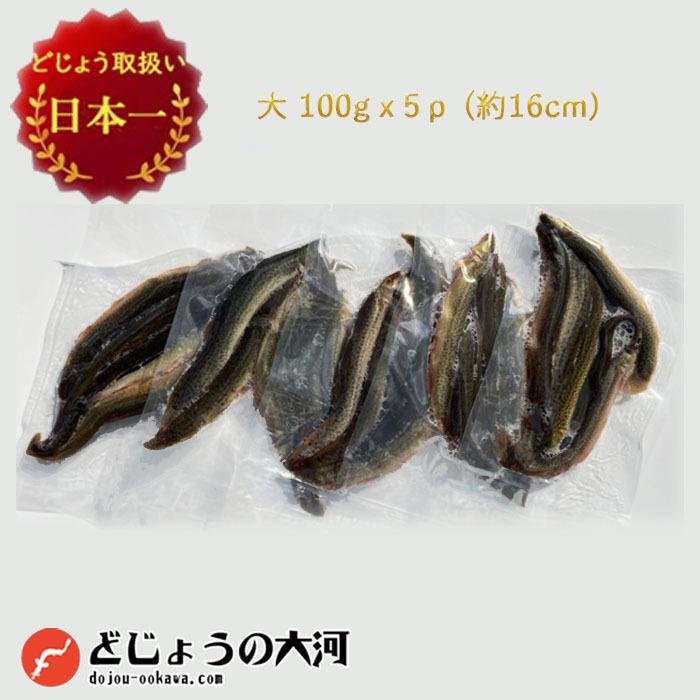 どじょう 日本一 冷凍 エサ どじょう 100g 5パック 大 約16cm 約4匹 5p どじょう エサ 釣り えさ 熱帯魚 古代魚 餌 ドジョウ 餌 E4 どじょうの大河yahoo 店 通販 Yahoo ショッピング