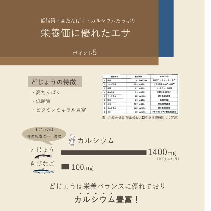 冷凍 餌 どじょう 100g×5パック 大 (約16cm 約4匹×5P) エサ 釣り えさ