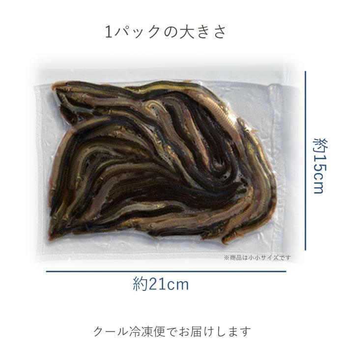 冷凍 餌 どじょう 100g×5パック 大 (約16cm 約4匹×5P) エサ 釣り えさ