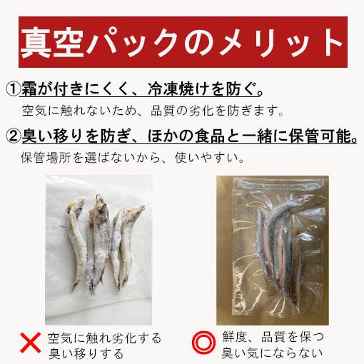 【タチウオ釣り関西地域特別仕様】冷凍どじょう100ｇ  X  5パック 中大 ドジョウ｜dojou-ookawa｜06