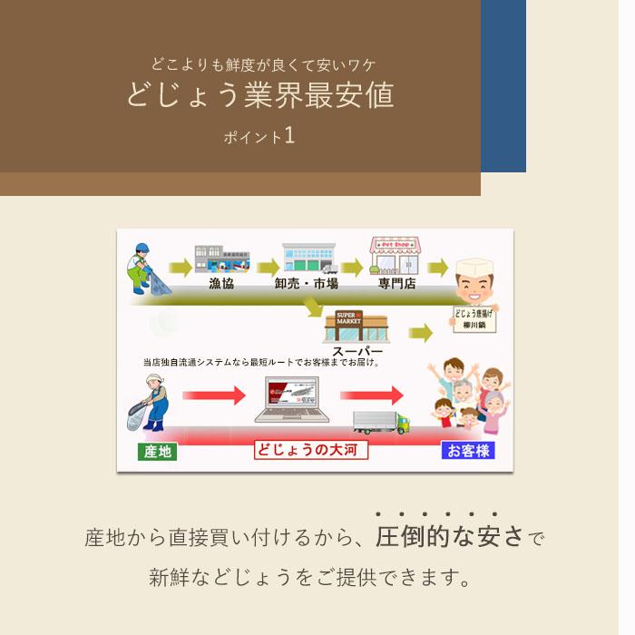 レビューを書いてプレゼント！【タチウオ 釣り 関西地域特別仕様】冷凍 どじょう 100ｇx5パック 中大 ドジョウ 太刀魚 テンヤ 釣り ドジョウ 餌 エサ｜dojou-ookawa｜09