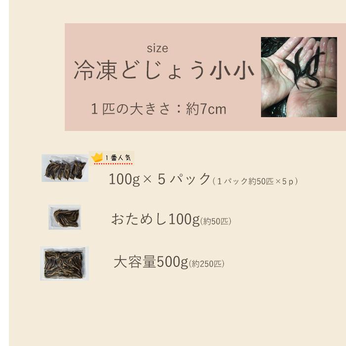 【 どじょう 日本一】冷凍 どじょう 100g 小【約10cm 約20匹】 エサ どじょう エサ 釣り えさ 熱帯魚 古代魚 餌 ドジョウ 餌｜dojou-ookawa｜14