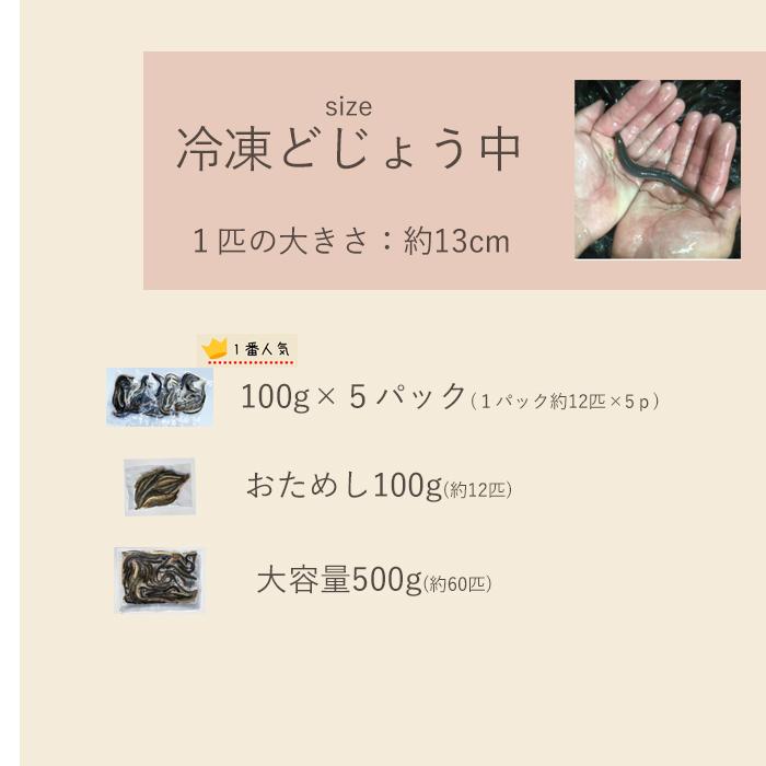 【 どじょう 日本一】冷凍 どじょう 100g 小【約10cm 約20匹】 エサ どじょう エサ 釣り えさ 熱帯魚 古代魚 餌 ドジョウ 餌｜dojou-ookawa｜16