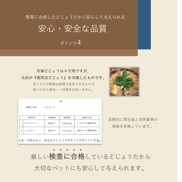 【 どじょう 日本一】冷凍 どじょう 100g 小【約10cm 約20匹】 エサ どじょう エサ 釣り えさ 熱帯魚 古代魚 餌 ドジョウ 餌｜dojou-ookawa｜09