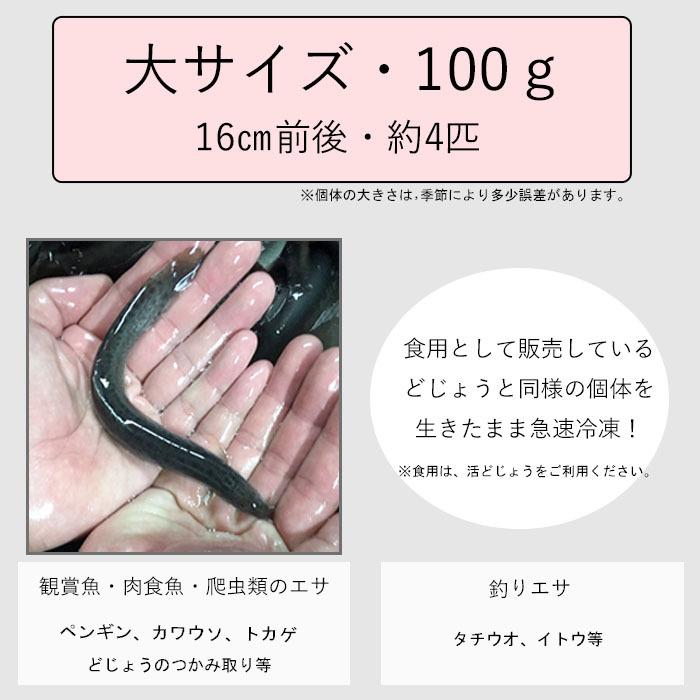 どじょう 日本一 冷凍 エサ どじょう 100g 大 約16cm 約4匹 どじょう エサ 釣り えさ 熱帯魚 古代魚 餌 ドジョウ 餌 G4 どじょうの大河yahoo 店 通販 Yahoo ショッピング