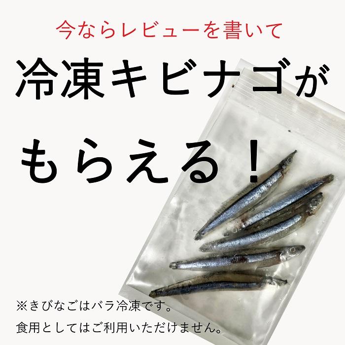 冷凍 どじょう タチウオ 釣り 餌 (5匹×10パック) 中サイズ ドジョウ