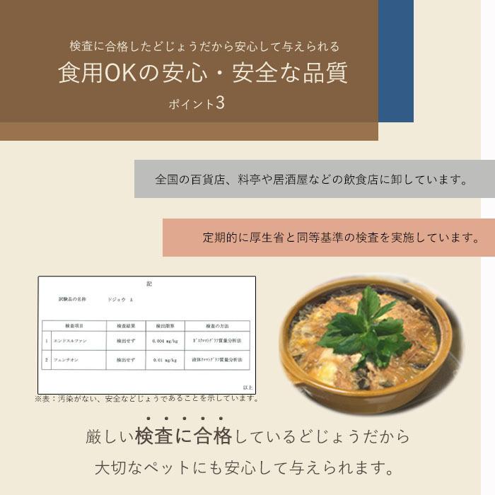 どじょう 日本一 えさ 0g 大 約16cm 約8匹 活どじょう 釣り 古代魚 上質 食用ok ドジョウ 熱帯魚 生体 餌 生餌 生き餌 エサ