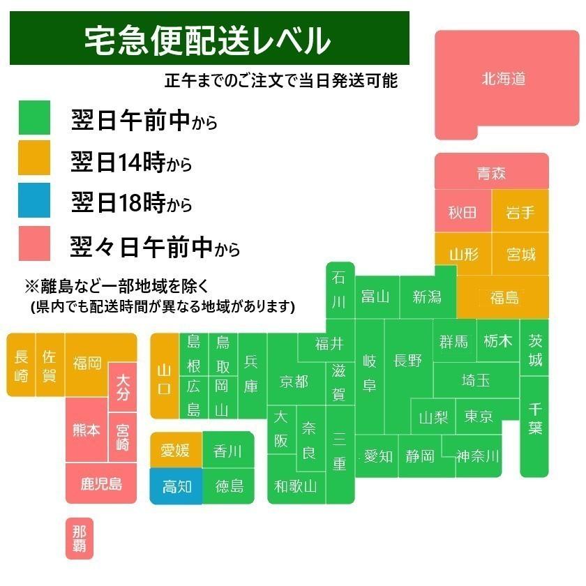 【 どじょう 日本一】 えさ どじょう 1kg 中【約13cm 約120匹】 えさ 活どじょう 釣り エサ 熱帯魚 古代魚 エサ  (食用OK) ドジョウ 生き餌 生餌 生体 餌｜dojou-ookawa｜18