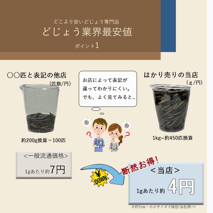 【 どじょう 日本一】 えさ どじょう 1kg 小小 【約7cm 約500匹】 えさ 活どじょう 釣り エサ 熱帯魚 古代魚 エサ  (食用OK) ドジョウ 生き餌 生餌 生体 餌｜dojou-ookawa｜06