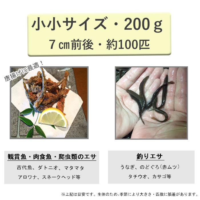 どじょう 日本一】 えさ 200g 小小 【約7cm 約100匹】 活 どじょう 日本一】 えさ 200g 小小 【約7cm 約100匹】 活
