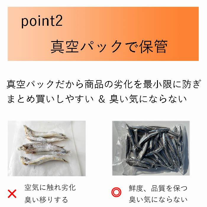 バラ 冷凍 きびなご エサ 真空パック 500g キビナゴ 釣りえさ 熱帯魚