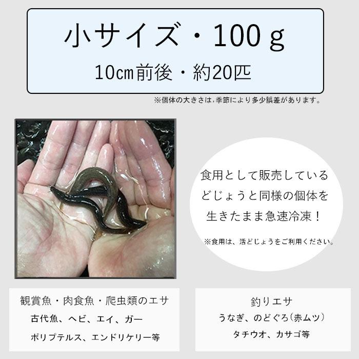 冷凍どじょう 1パックおまけ付き エサ用 小100gx19P＋おまけ1P 合計20