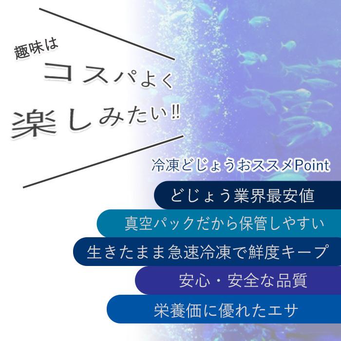 【1パックおまけ付き】えさ用 冷凍 どじょう 小100gｘ19P＋おまけ1P 合計20パック【約10cm 1Pあたり約20匹】釣り エサ 冷凍 餌 熱帯魚 古代魚 えさ ドジョウ｜dojou-ookawa｜05