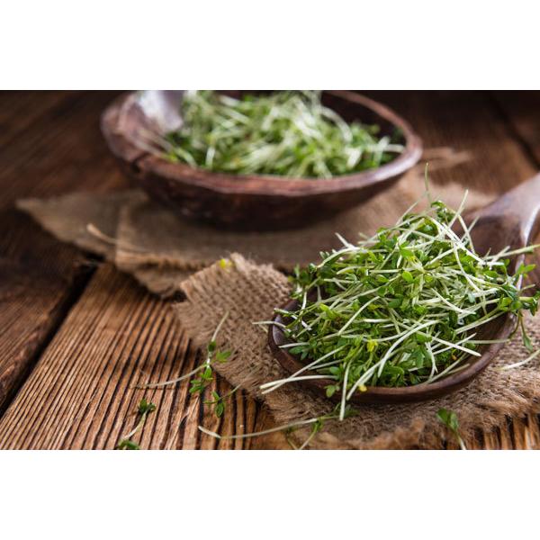 農家が作ったスルフォラファンタブレット30日分 内祝い 一粒に 