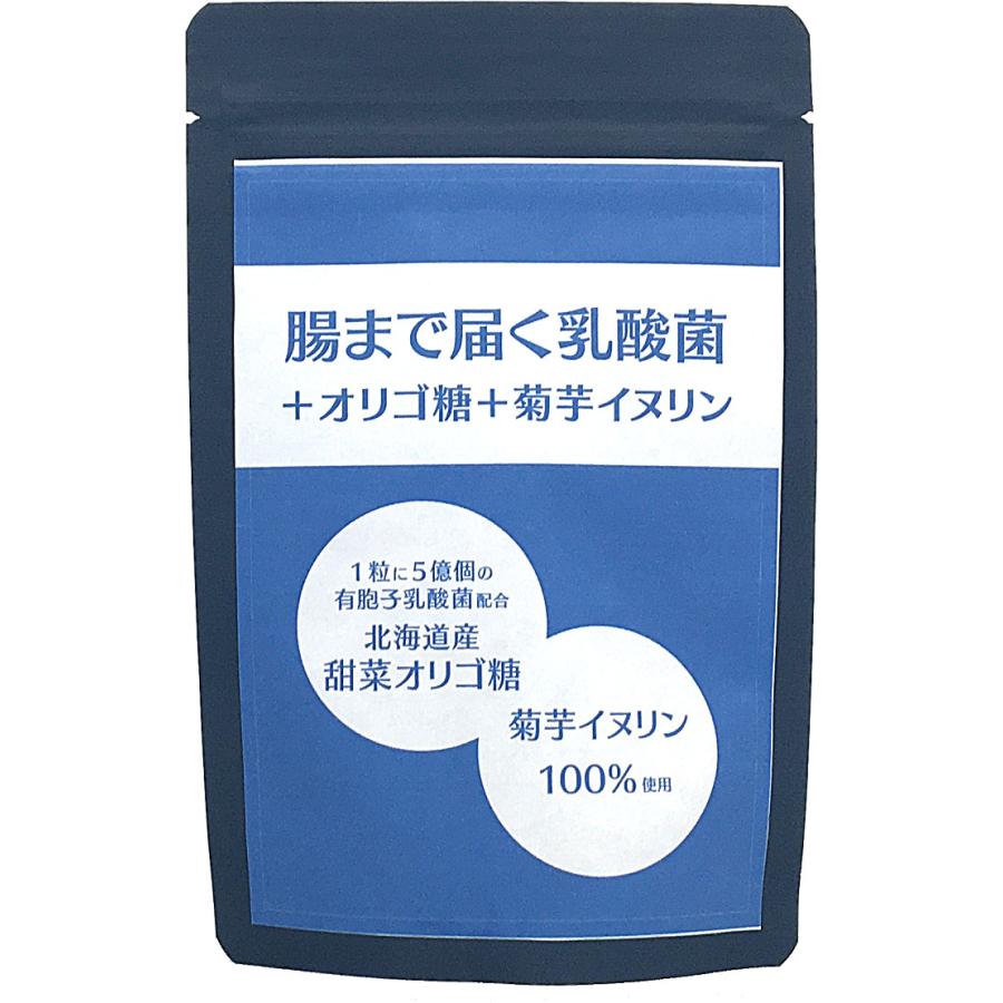 乳酸菌サプリ3か月分 腸まで届く乳酸菌オリゴ糖菊芋イヌリン 一粒に5億個の有胞子乳酸菌配合 乳酸菌発酵エキスサプリ 乳酸菌b240 サプリ 菊芋サプリ D7002 どきみん 通販 Yahoo ショッピング