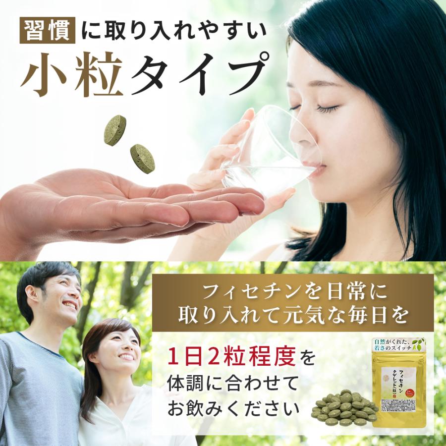 フィセチン タブレット60粒 1か月分 1粒にフィセチン末100mg配合