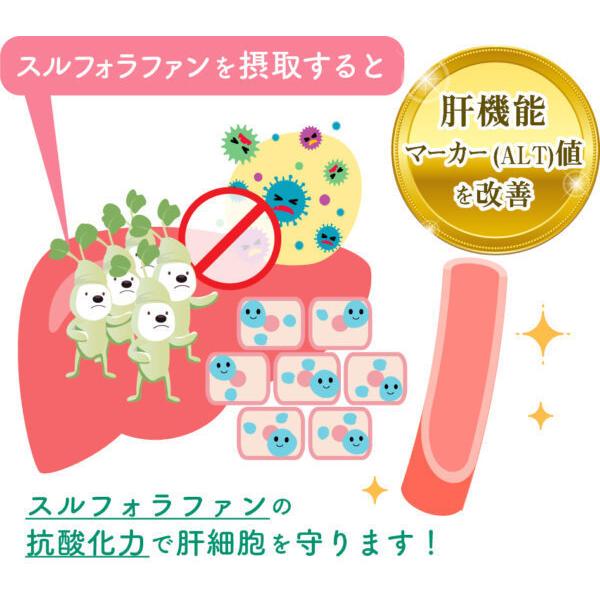 ブロッコリースプラウトパウダーｇ スルフォラファン１０００ｍｇ含有 携帯払いなどすべての支払い方法が使用できます コンビニ払い 信託