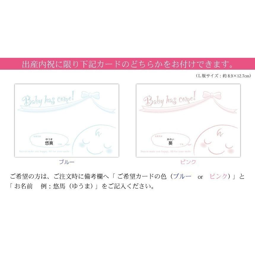 パクパクアニマルズ(常温便) 出産内祝い 内祝 名入れ お菓子 ギフト スイーツ 人気 Carino ドーナツ 動物 アニマル カリーノ かわいい アニマルドーナツ | ブランド登録なし | 07