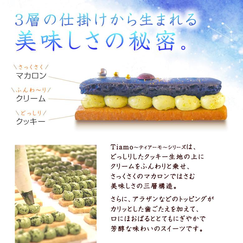 父の日 プレゼント 2023 スイーツ 人気 ギフト おしゃれ 高級 宇宙 　的場浩司さんとのコラボスイーツ Tiamo Cosmo 冷凍便 マカロン 新感覚 かわいい | ブランド登録なし | 04