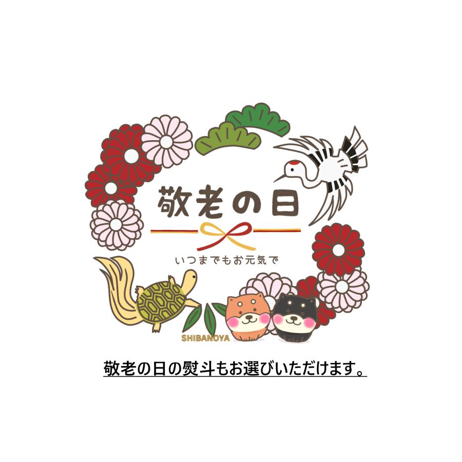敬老の日　お祝い　ギフト プレゼント 柴乃家 焼印 おやつ どら焼き どらやき 12個入 和菓子  贈答 柴犬 送料無料 |  | 03