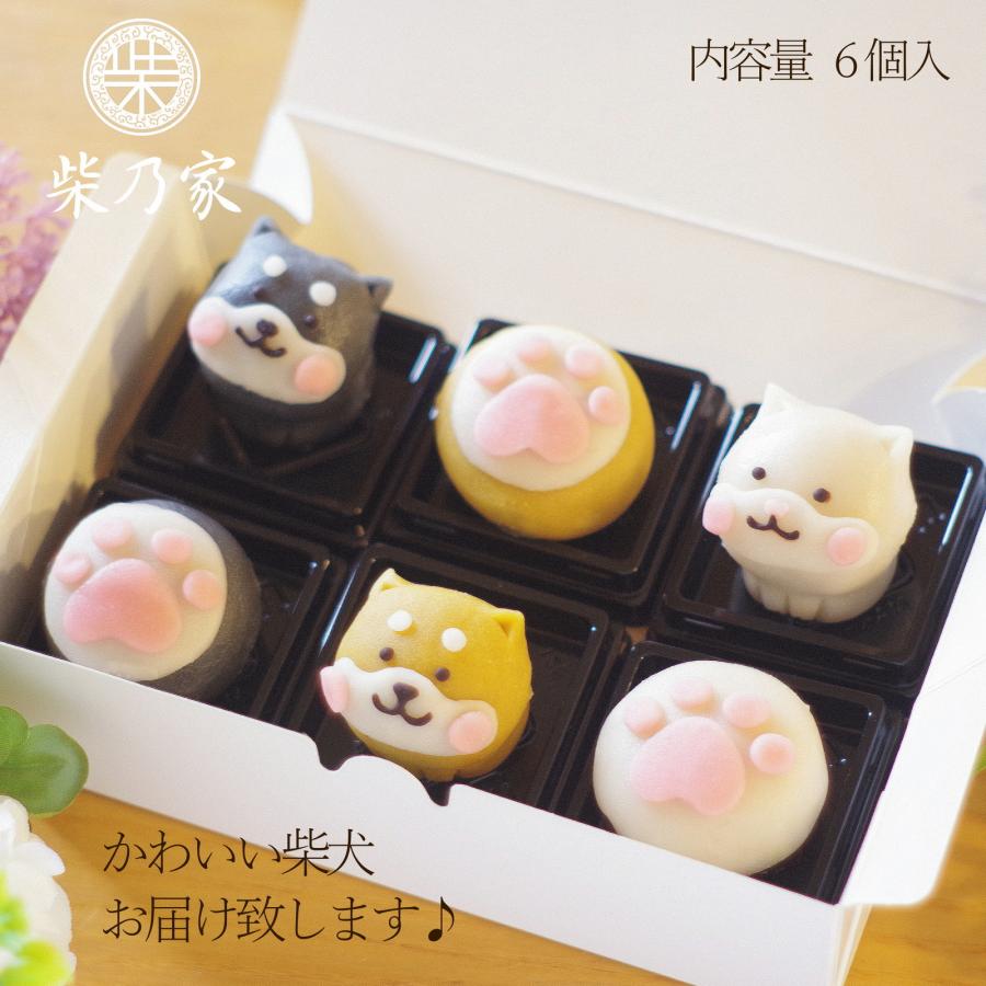 お祝い 柴犬 練り切り 上生菓子 ギフト 和菓子 かわいい 犬 プレゼント