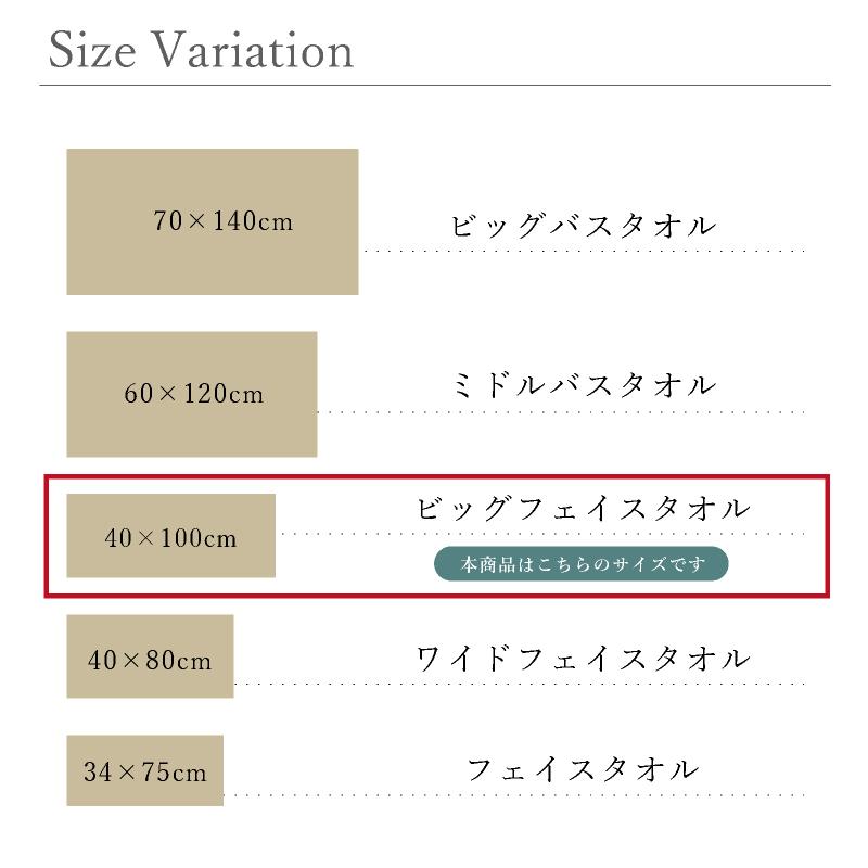 ビッグフェイスタオル 4枚セット ミニバスタオル マイクロファイバー