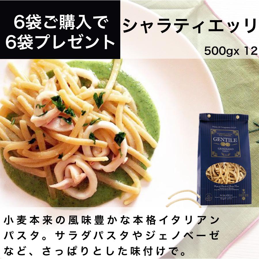 シャラティエッリ 500g 12袋 6kg イタリア直輸入 パスタ Gentile ジェンティーレ ショートパスタ 業務用 c ワイン チーズのドルチェヴィータ 通販 Yahoo ショッピング