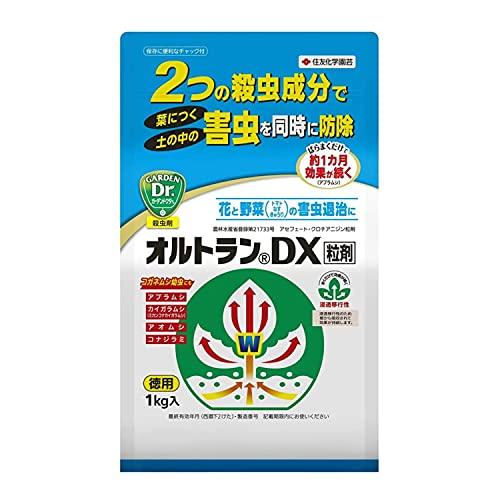 数量は多 住友化学園芸 殺虫剤 オルトランdx粒剤 1kg Stevenbrooke Com