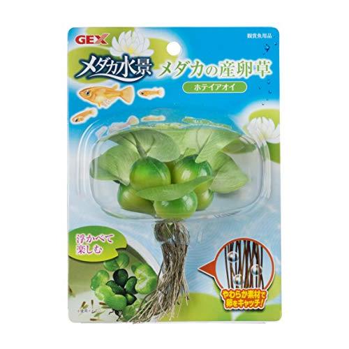 購買 ジェックス メダカの産卵草 ホテイアオイ レイアウト用品