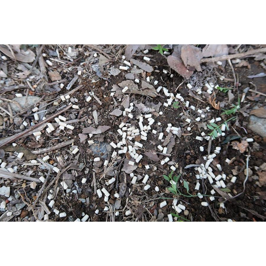 住友化学園芸 不快害虫剤 ナメ退治ベイト 150g :20201228122346-01198:ドールストア - 通販 - Yahoo!ショッピング 住友化学園芸 不快害虫剤 ナメ退治ベイト 150g :20201228122346-01198:ドールストア - 通販 - Yahoo!ショッピング