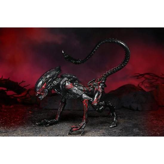 ネカ エイリアン 7インチ アクションフィギュア ケナー トリビュート シリーズ ナイトクーガー エイリアン/NECA 2022 Alien 7inch Action Figure KENNER TRI_4